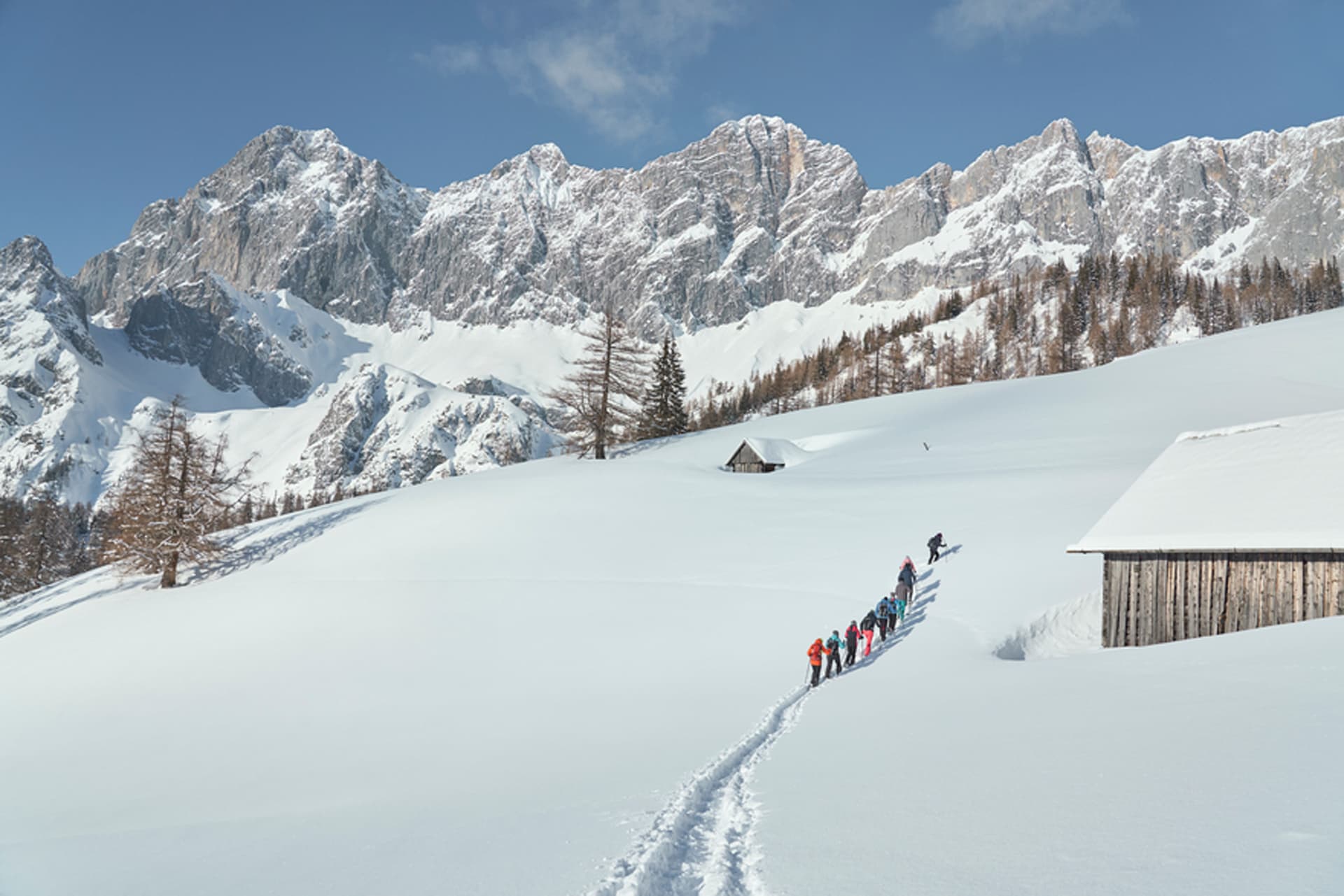 Skifahrer im Tiefschnee vor Dachsteinmassiv