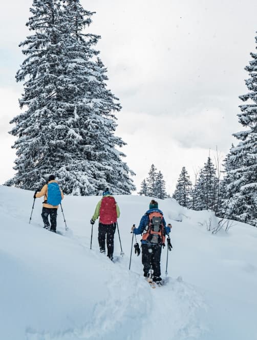 Schneeschuhwandern im Winterwald – Dachstein