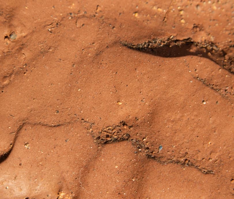 Detailaufnahme Naturboden mit Fußspur